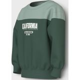 Sweatshirt - Regular Fit - Geborstelde Sweatstof - Lange Mouwen