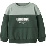 Sweatshirt - Regular Fit - Geborstelde Sweatstof - Lange Mouwen