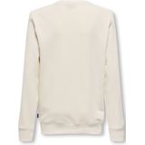 ONLY & SONS - JUNIOR - Sweater - Ronde Hals - Lange Mouwen