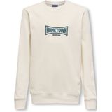 ONLY & SONS - JUNIOR - Sweater - Ronde Hals - Lange Mouwen