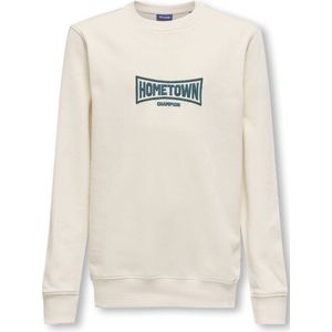 ONLY & SONS - JUNIOR - Sweater - Ronde Hals - Lange Mouwen