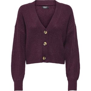 Onlcarol - Vest - V-Hals - Lange Mouwen - Regular Fit