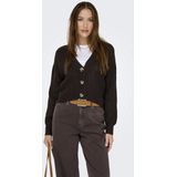 Onlcarol - Vest - V-Hals - Lange Mouwen - Regular Fit