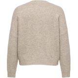 Carzoey - Vest - V-Hals - Lange Mouwen - Regular Fit - Curve