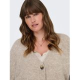 Carzoey - Vest - V-Hals - Lange Mouwen - Regular Fit - Curve