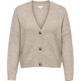 Carzoey - Vest - V-Hals - Lange Mouwen - Regular Fit - Curve