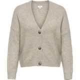 Carzoey - Vest - V-Hals - Lange Mouwen - Regular Fit - Curve