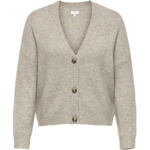 Carzoey - Vest - V-Hals - Lange Mouwen - Regular Fit - Curve