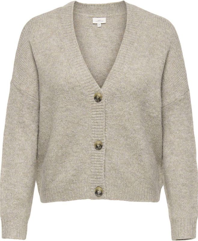 Carzoey - Vest - V-Hals - Lange Mouwen - Regular Fit - Curve