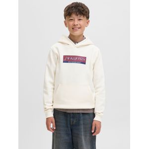 Jack & Jones - Inwood Block - Hoodie