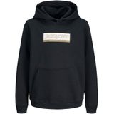 Jack & Jones - Inwood Block - Hoodie