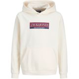 Jack & Jones - Inwood Block - Hoodie