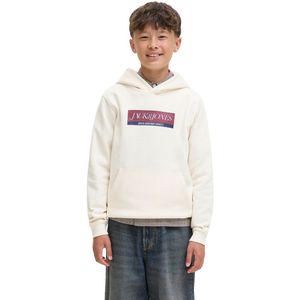 Jack & Jones - Inwood Block - Hoodie