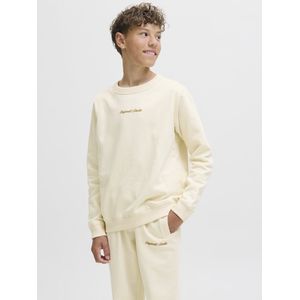 Jack and Jones Junior - Sweatshirt - Lichtgrijs - Zachte Stof