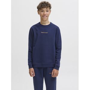 Jack and Jones Junior - Sweatshirt - Lichtgrijs - Katoen