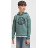 JACK & JONES JUNIOR - Hoodie - Groen