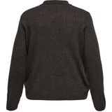 ONLY CARMAKOMA - Gebreid Vest - Bruin