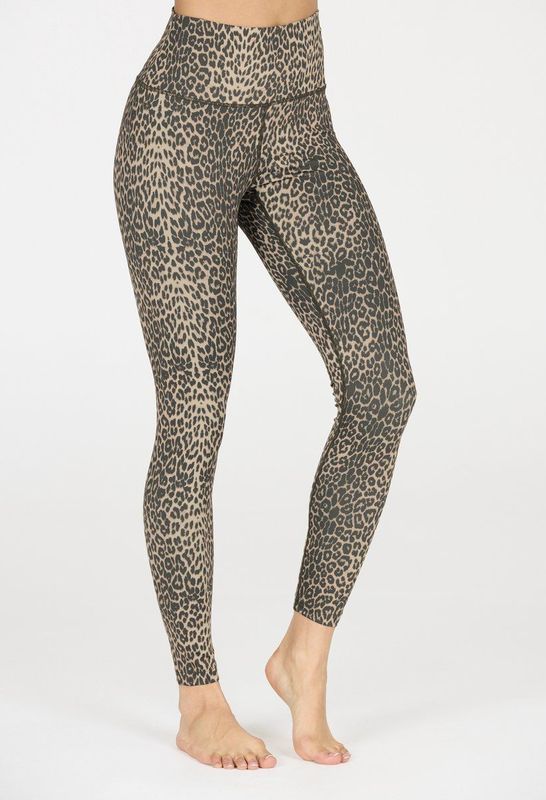 Athlecia Sportbroek 'Windia'  bruin / zwart