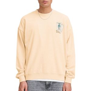 Solid - SDRAMI - Trui - Beige - 100% Katoen