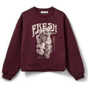 Sofie Schnoor - Sweater - Donkerrood