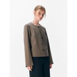 OBJECT - Blazers - Bruin - Lisa