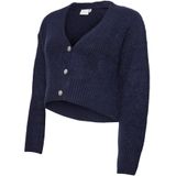 MAMALICIOUS - MLSVALA LIA - Gebreid Vest - Blauw - Aansluitende Pasvorm