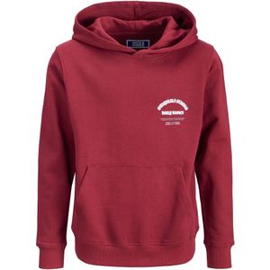 JACK&JONES - JORMEADOWS SWEAT HOOD JNR - Jongens - Hoodie - Lange Mouwen - Relaxed Fit