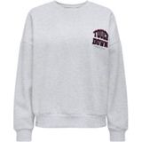 Only - Onlrillo Boxy O-neck Cs Swt - Lichtgrijs - Dames Sweater