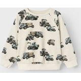 NAME IT - MINI - Sweater - 100% Katoen - Ronde Hals - Lange Mouwen