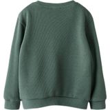 Name It - Peutersweater - Met Lange Mouwen - Ronde Hals - Borstprint