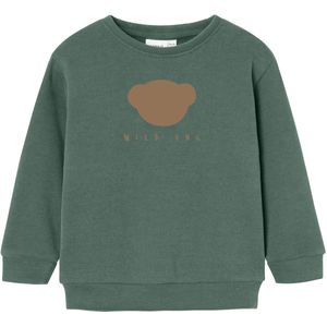 NAME IT MINI - Sweater - Zacht Sweatstof - Ronde Hals - Lange Mouwen