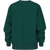 NAME IT KIDS - Kerstsweater - Donkergroen