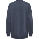 ONLY MATERNITY - Zwangerschaps Sweater - Grijsblauw