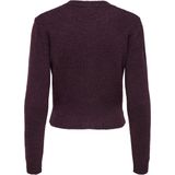 Only - Onlhavanna - Cardigan - Bordeaux