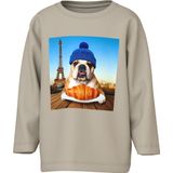 Dinosaurus - Top - Lange Mouwen - Jersey