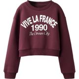 Sweatshirt - Regular Fit - Geborstelde Sweatstof - Lange Mouwen