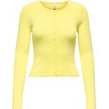 Onlmeddi - Vest - O-hals - Lange Mouwen - Slim Fit