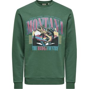 ONLY & SONS Sweater Montana
