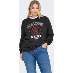 ONLY CARMAKOMA - Trui - Ronde Hals - Lange Mouwen - Regular Fit