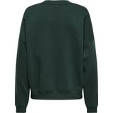 Jacqueline de Yong - Jdymesa O-neck Emb Sweat - Dames Trui - Groen - Regular Fit
