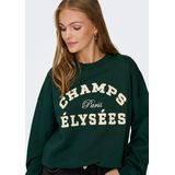 Jacqueline de Yong - Jdymesa O-neck Emb Sweat - Dames Trui - Groen - Regular Fit