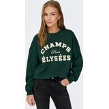 Jacqueline de Yong - Jdymesa O-neck Emb Sweat - Dames Trui - Groen - Regular Fit