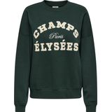 Jacqueline de Yong - Jdymesa O-neck Emb Sweat - Dames Trui - Groen - Regular Fit