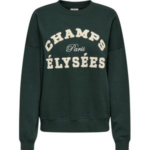 Jacqueline de Yong - Jdymesa O-neck Emb Sweat - Dames Trui - Groen - Regular Fit