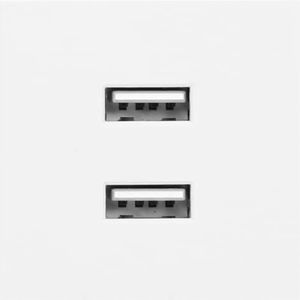 ORNO NOEN USB x 2, dubbel port modulair 45x45mm met oplader USB, 2,1A 5V DC, wit