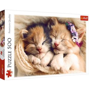 Kittens slapen op een pluizige deken puzzel met 500 stukjes