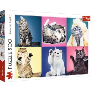 Puzzel met 500 stukjes katten
