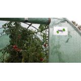 Gardenline - muurkas - tuinkas - 300x150x200cm - pe-folie