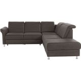 sit&more Ecksofa »Darwin L-Form«, inklusive Federkern, wahlweise mit Kopfteilverstellung, Bettfunktion