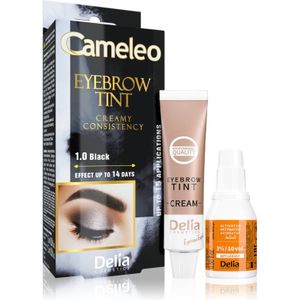 Delia Cosmetics Cameleo Professionele Wenkbrauw Crèmeverf zonder Ammoniak Tint 1.0 Black 15 ml